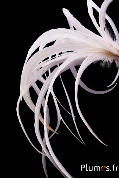 Coq fouet - 42-50 cm - blanc-crème naturel